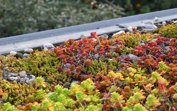 the cost of Killilan green roof installation