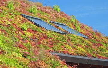 Killilan living roof systems