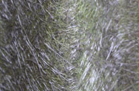 Killilan fibreglass roof work